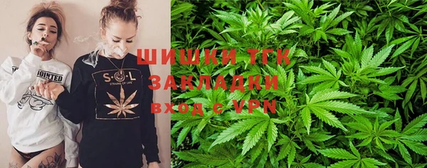 стаф Семилуки
