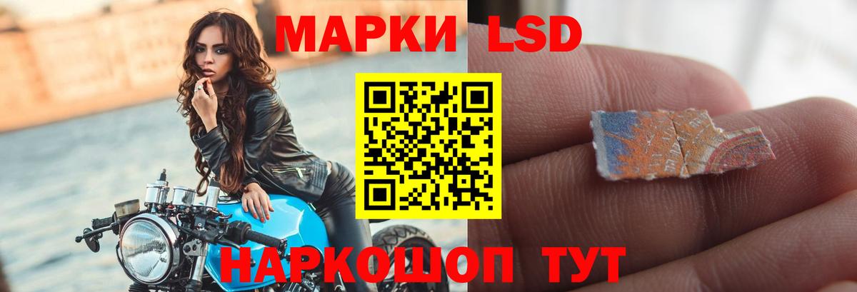 Губкин  Лсд 25 экстази кислота  Вход с VPN 