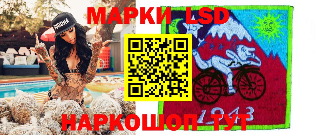 Губкин  Марки N-bome 1,5мг  Вход с VPN 