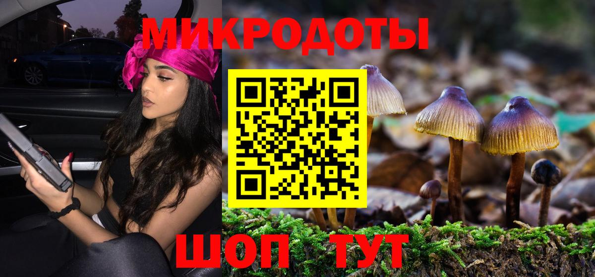 Псилоцибиновые грибы мицелий Губкин