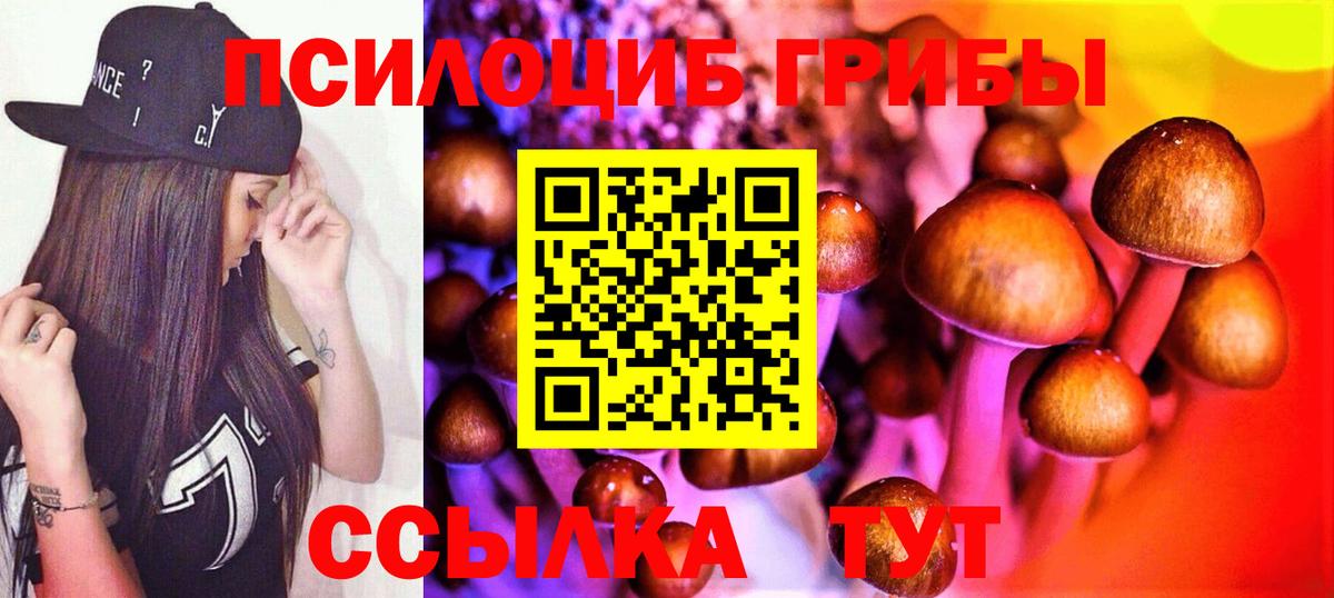 Губкин  Псилоцибиновые грибы прущие грибы  Вход с VPN 