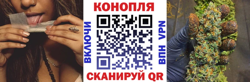 дарк нет телеграм  Губкин  МАРИХУАНА план 